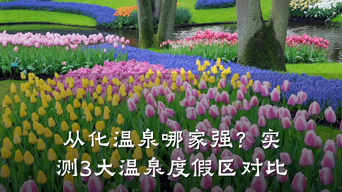 从化温泉哪家强?实测3大温泉度假区对比