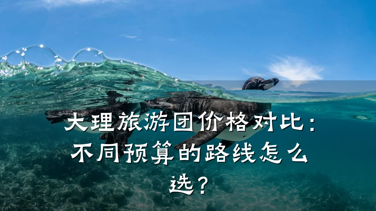 大理旅游团价格对比:不同预算的路线怎么选?
