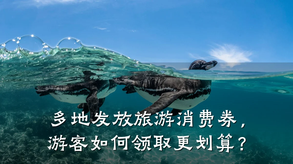 多地发放旅游消费券,游客如何领取更划算?