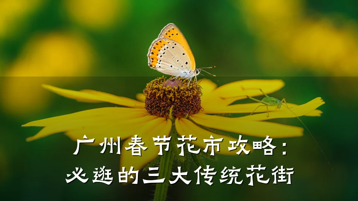 广州春节花市攻略:必逛的三大传统花街