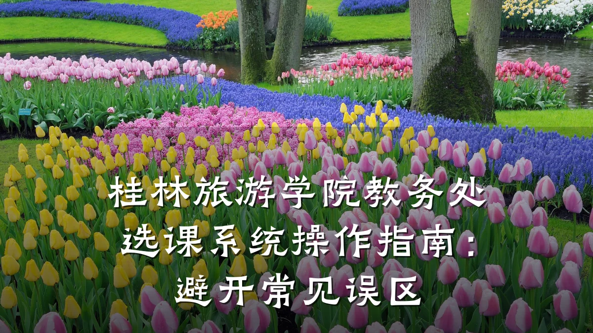 桂林旅游学院教务处选课系统操作指南:避开常见误区