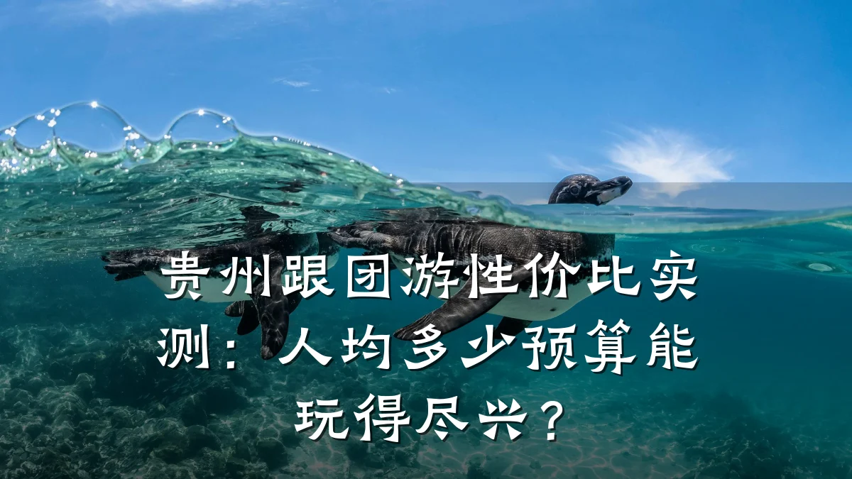 贵州跟团游性价比实测:人均多少预算能玩得尽兴?