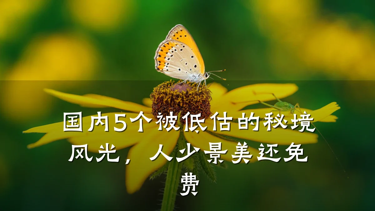 国内5个被低估的秘境风光,人少景美还免费