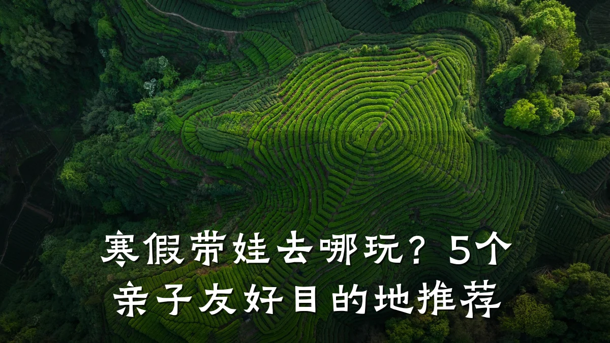 寒假带娃去哪玩?5个亲子友好目的地推荐