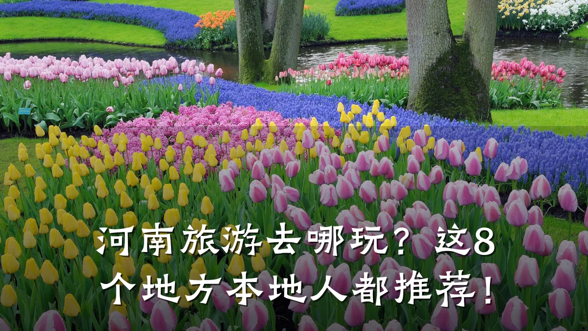 河南旅游去哪玩？这8个地方本地人都推荐！