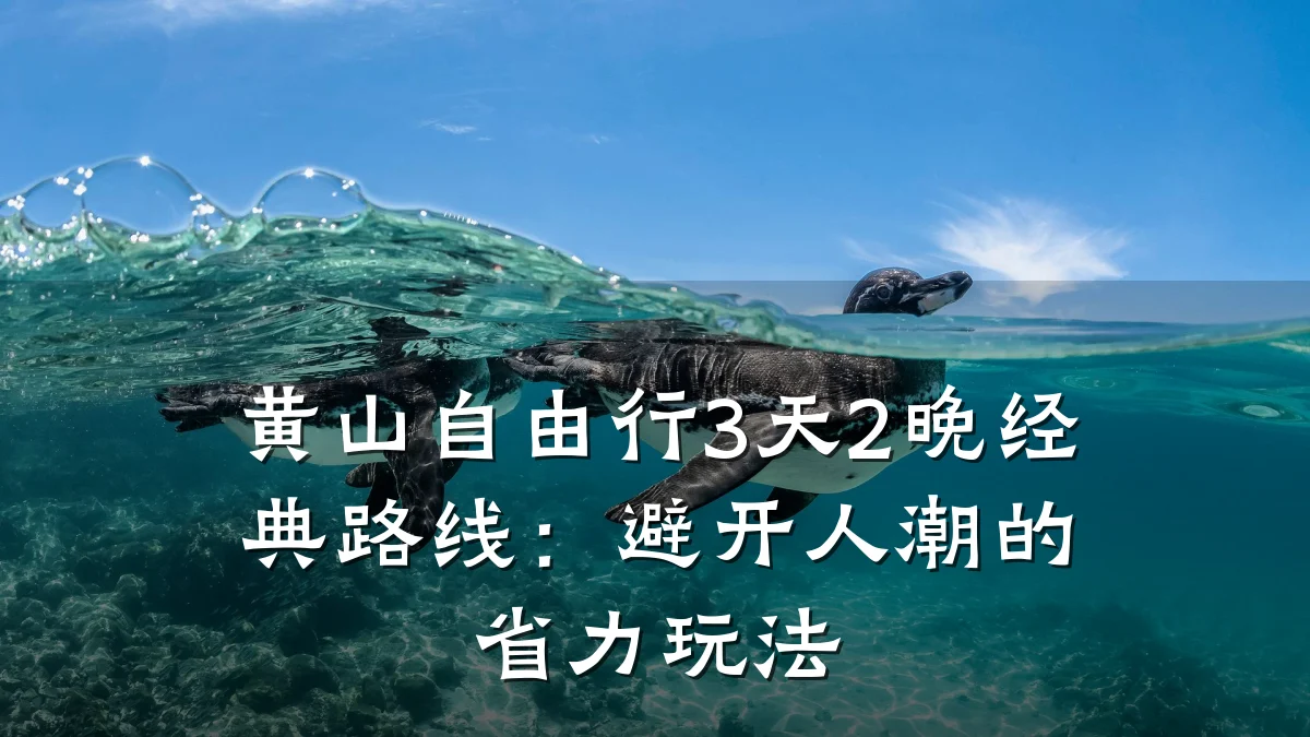 黄山自由行3天2晚经典路线:避开人潮的省力玩法