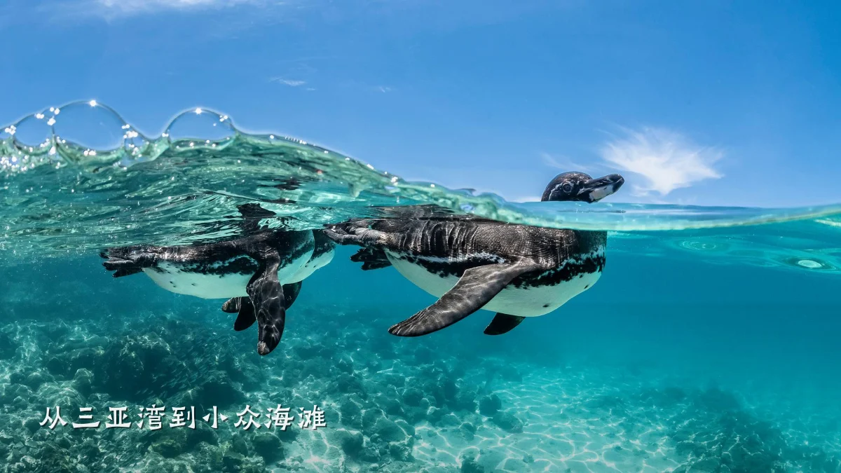 从三亚湾到小众海滩