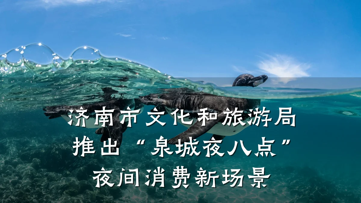 济南市文化和旅游局推出“泉城夜八点”夜间消费新场景