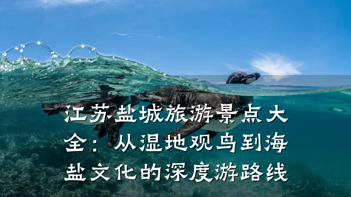 江苏盐城旅游景点大全:从湿地观鸟到海盐文化的深度游路线