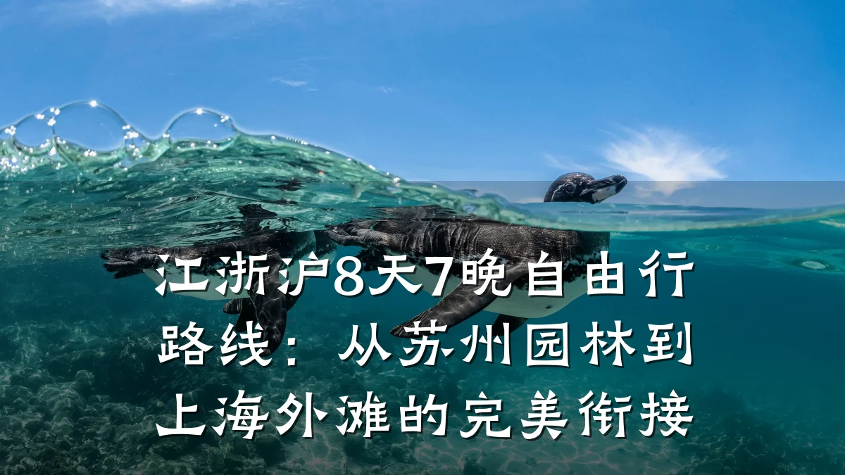 江浙沪8天7晚自由行路线:从苏州园林到上海外滩的完美衔接