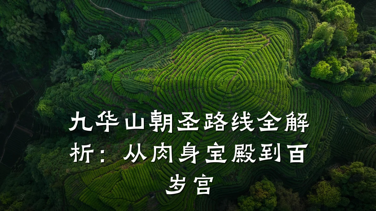 九华山朝圣路线全解析：从肉身宝殿到百岁宫