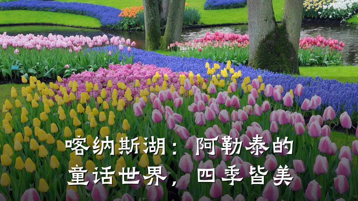 喀纳斯湖:阿勒泰的童话世界,四季皆美
