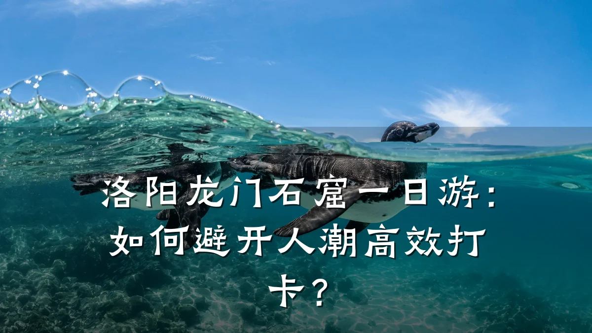 洛阳龙门石窟一日游:如何避开人潮高效打卡?