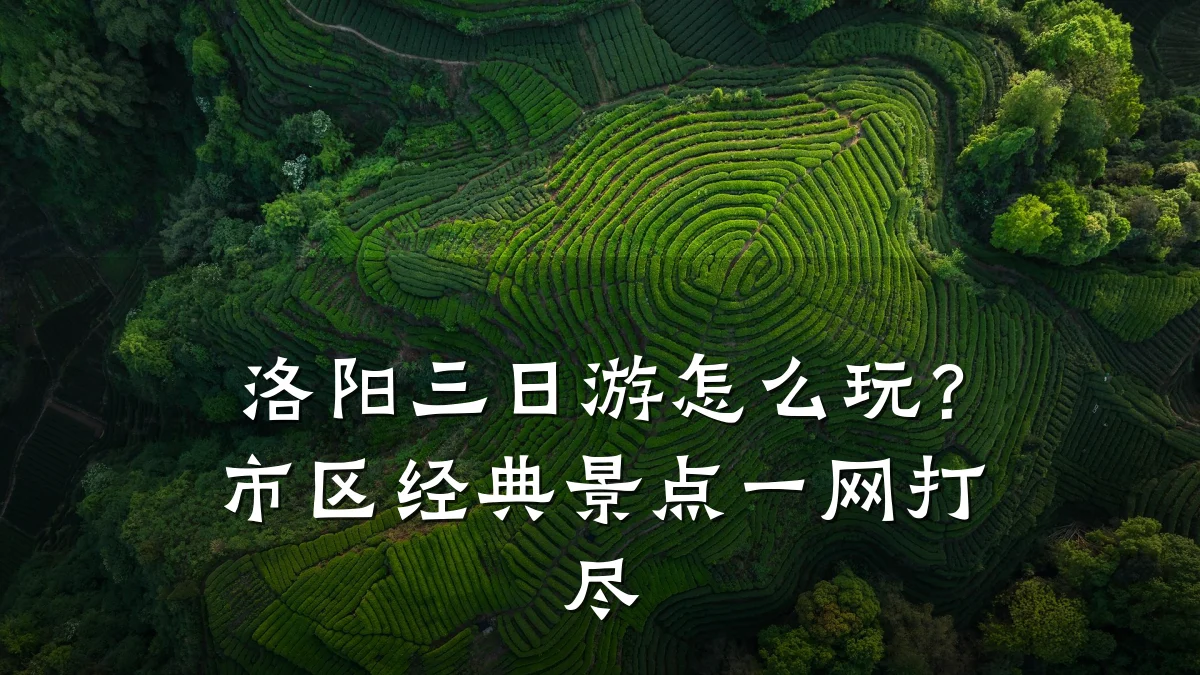 洛阳三日游怎么玩?市区经典景点一网打尽