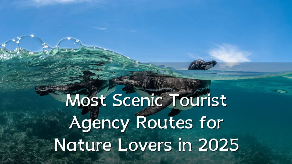 Most Scenic Tourist Agency Routes for Nature Lovers in 2025