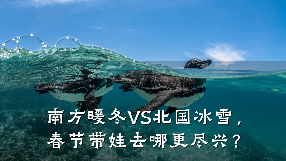 南方暖冬VS北国冰雪,春节带娃去哪更尽兴?