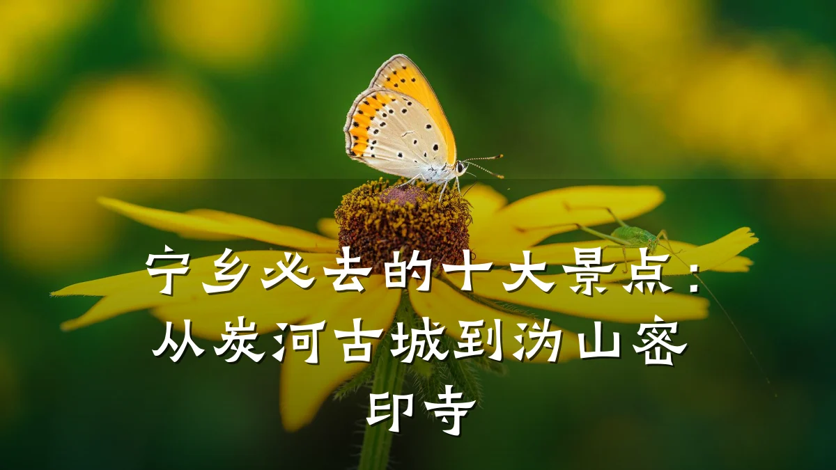 宁乡必去的十大景点:从炭河古城到沩山密印寺