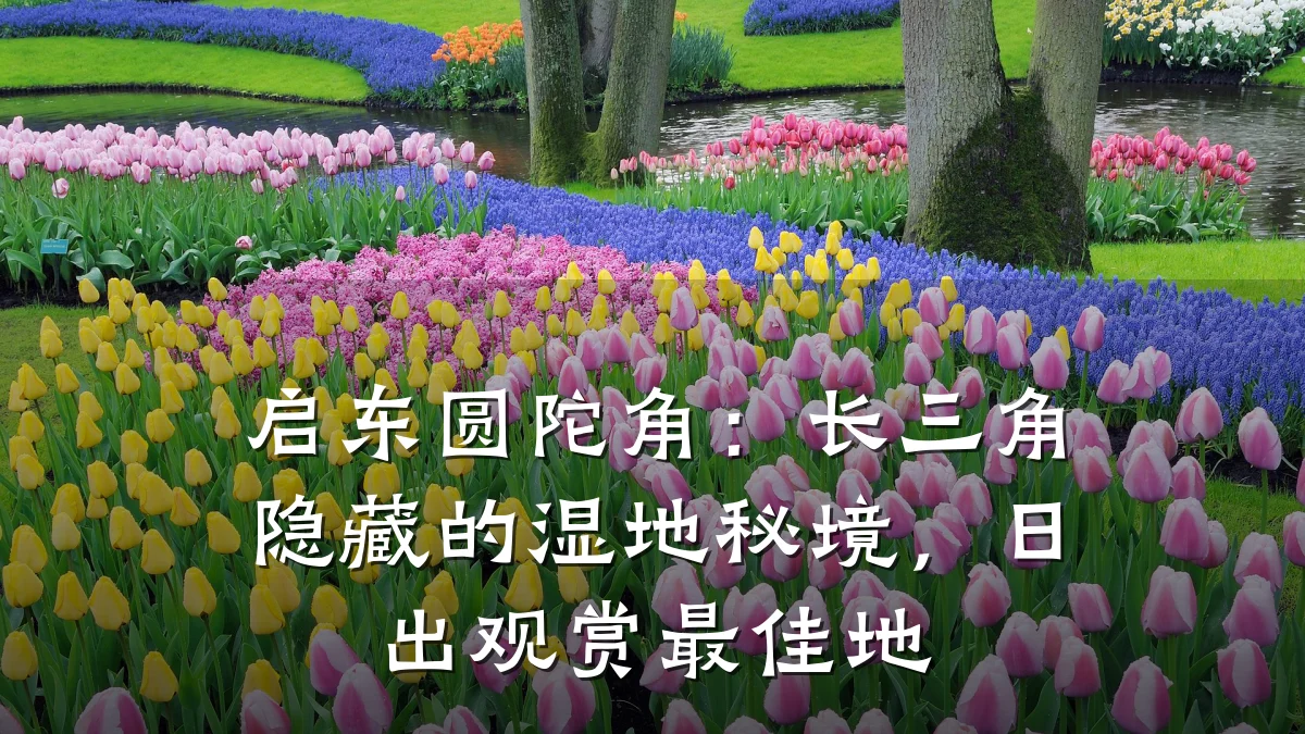 启东圆陀角：长三角隐藏的湿地秘境，日出观赏最佳地