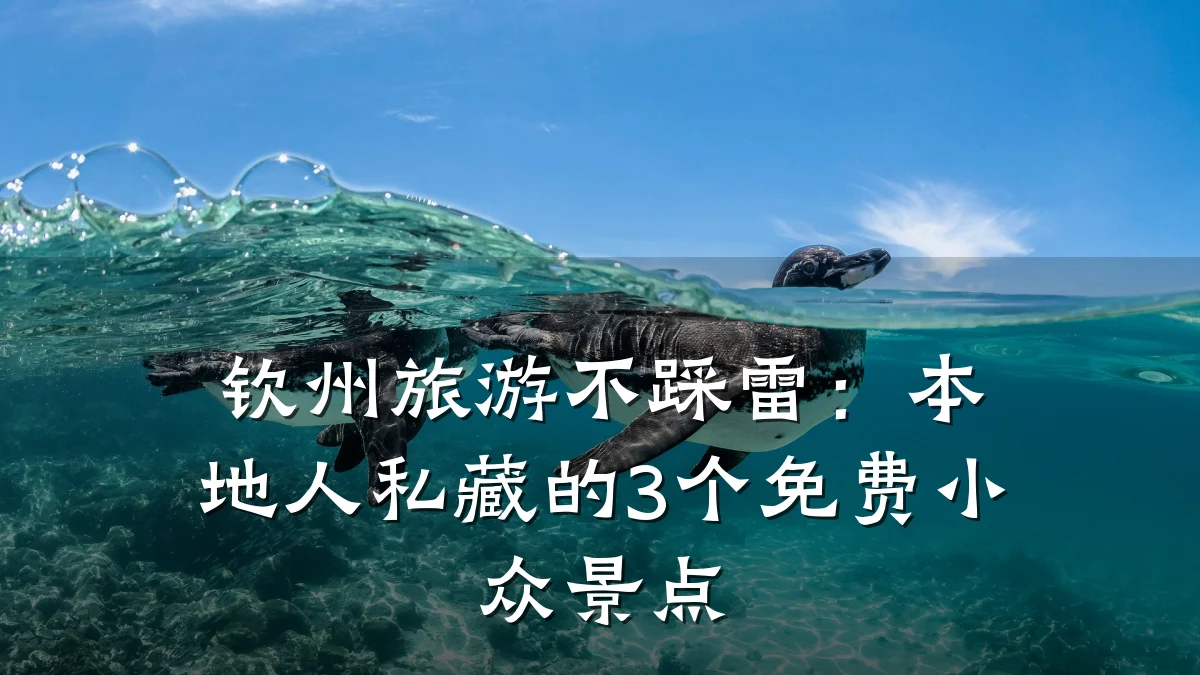 钦州旅游不踩雷:本地人私藏的3个免费小众景点