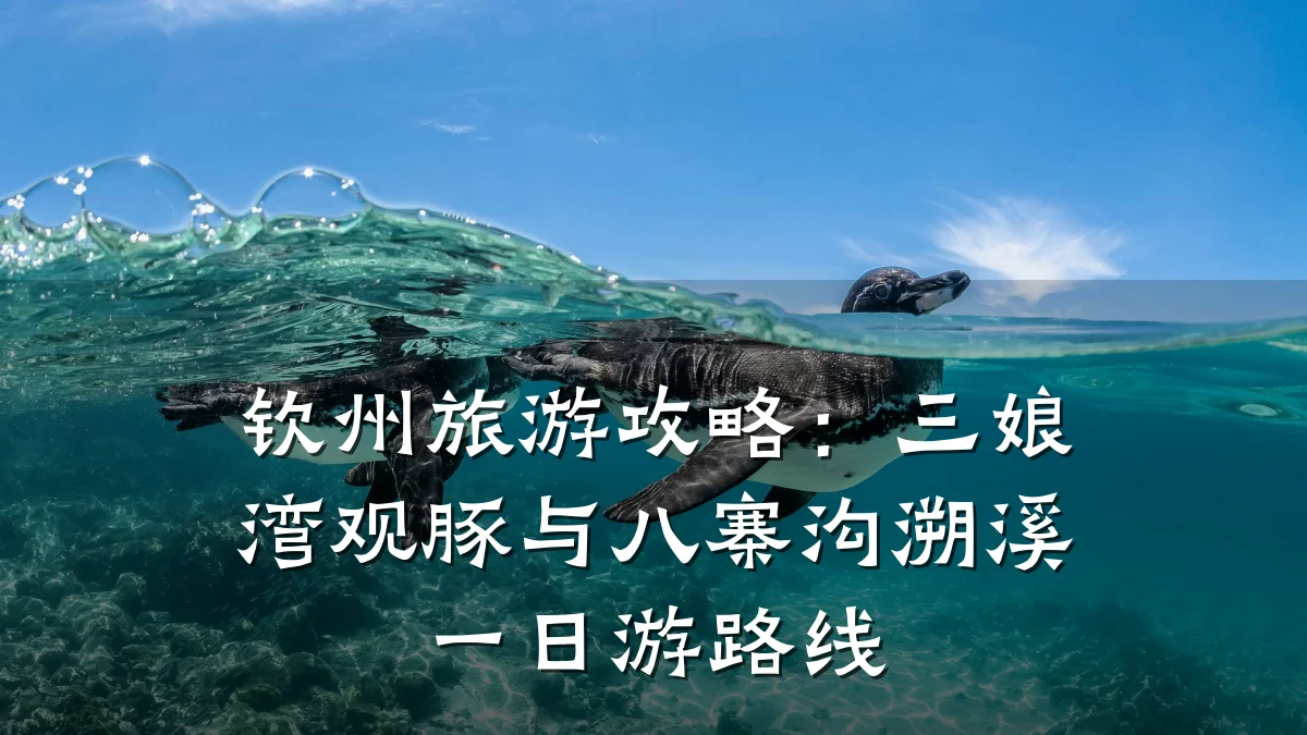 钦州旅游攻略:三娘湾观豚与八寨沟溯溪一日游路线