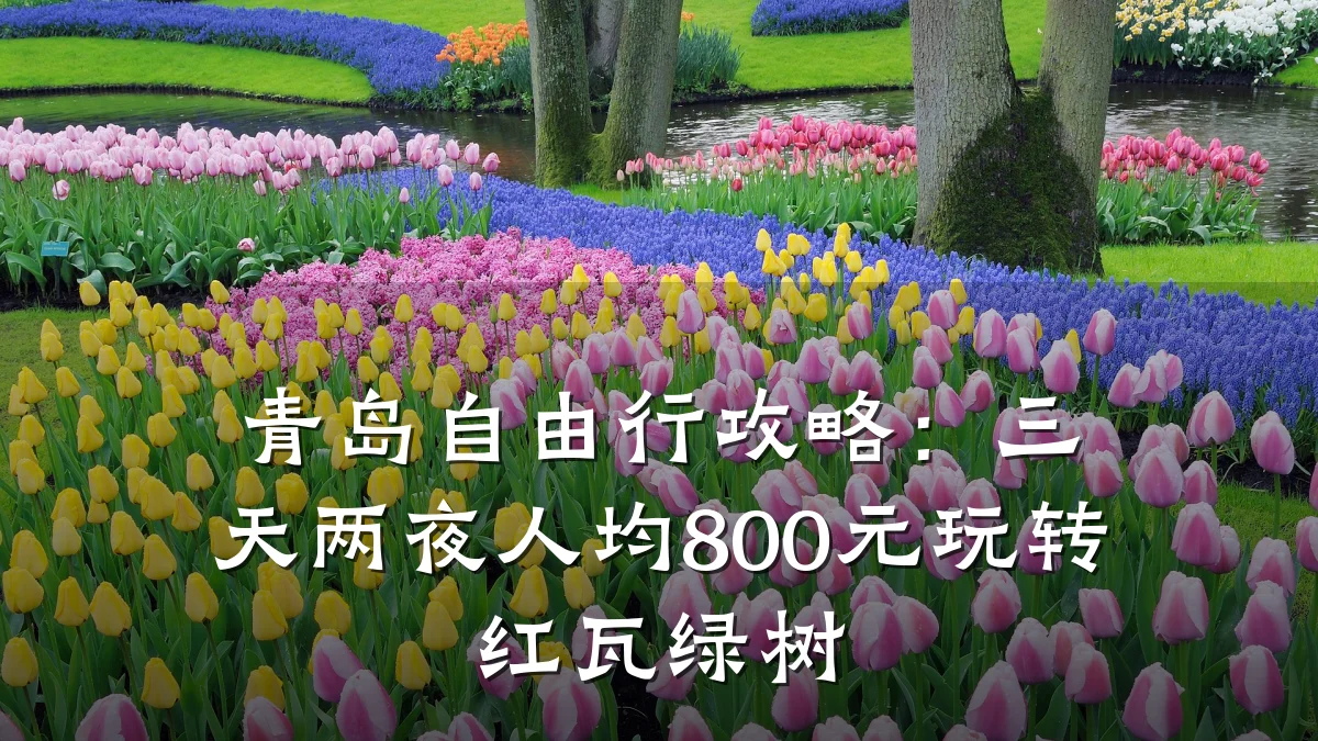青岛自由行攻略：三天两夜人均800元玩转红瓦绿树