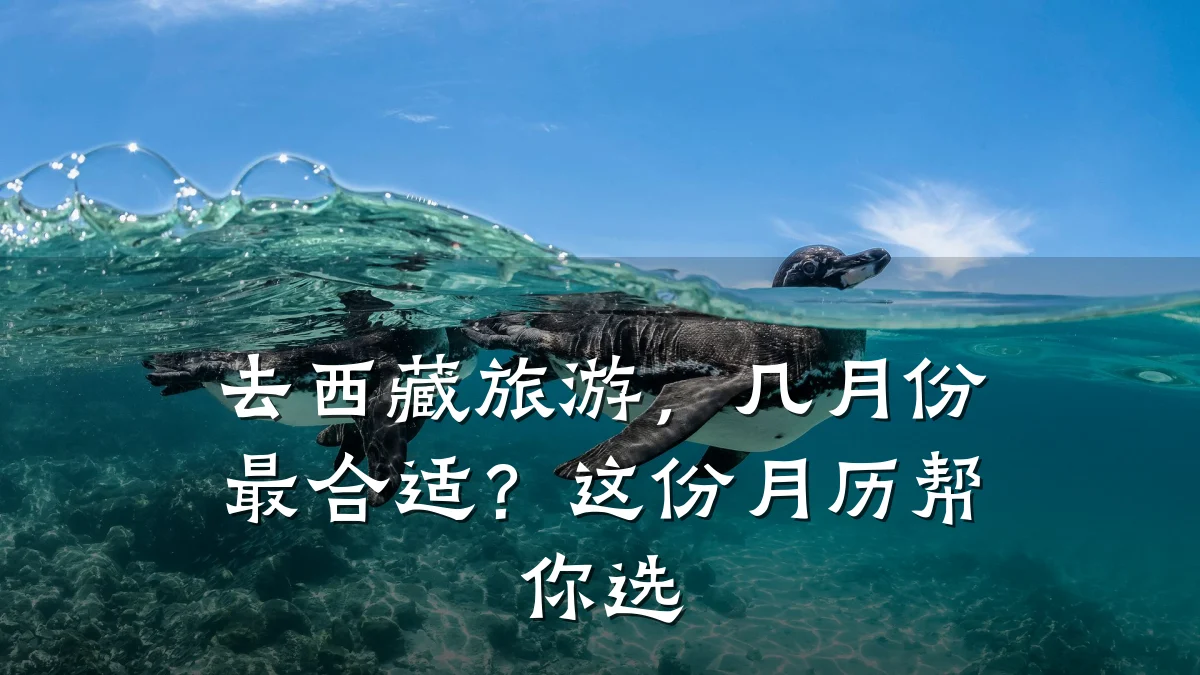 去西藏旅游,几月份最合适?这份月历帮你选