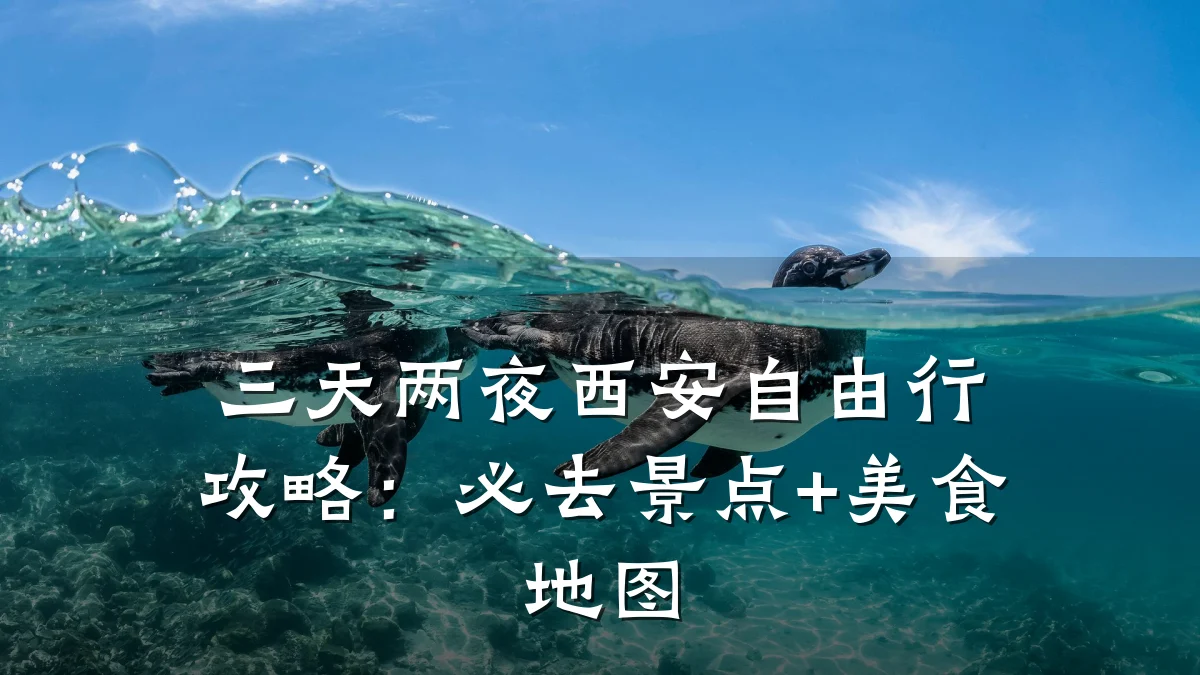 三天两夜西安自由行攻略:必去景点+美食地图
