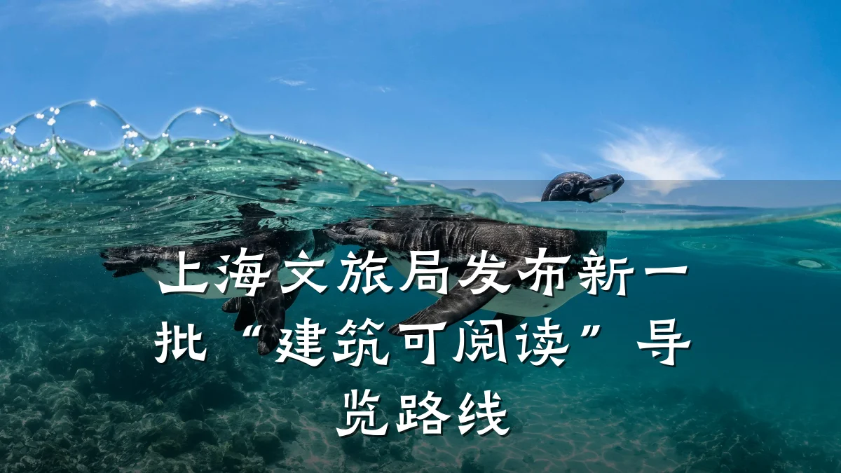 上海文旅局发布新一批“建筑可阅读”导览路线