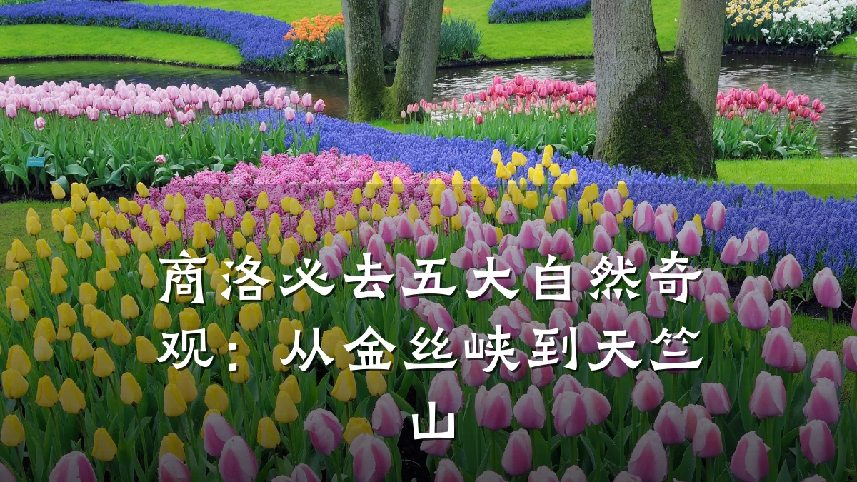 商洛必去五大自然奇观：从金丝峡到天竺山