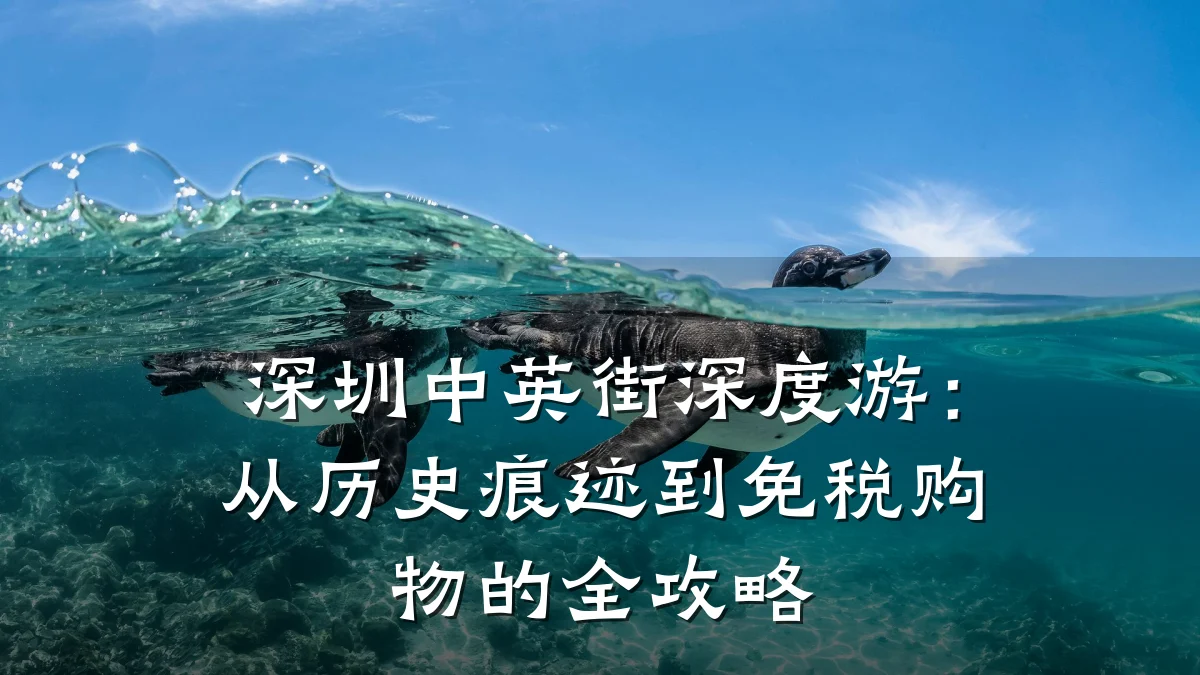 深圳中英街深度游:从历史痕迹到免税购物的全攻略