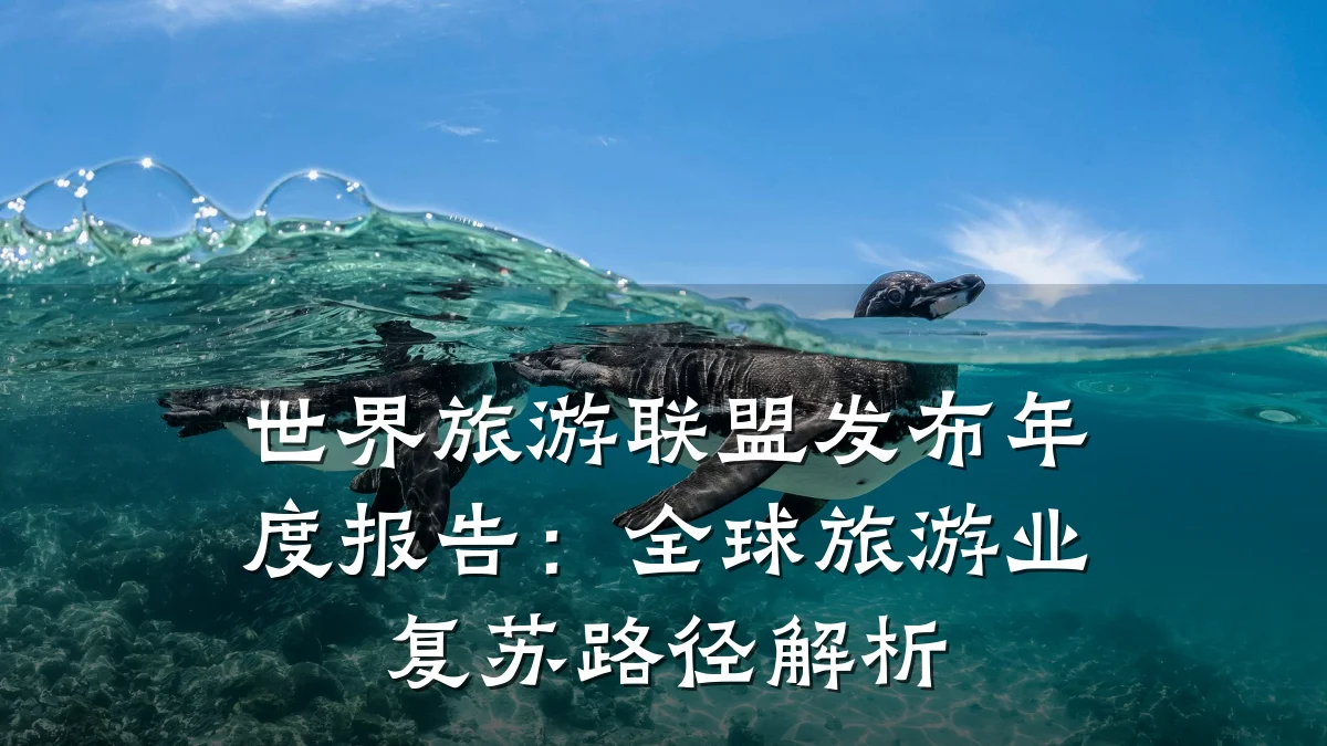 世界旅游联盟发布年度报告:全球旅游业复苏路径解析