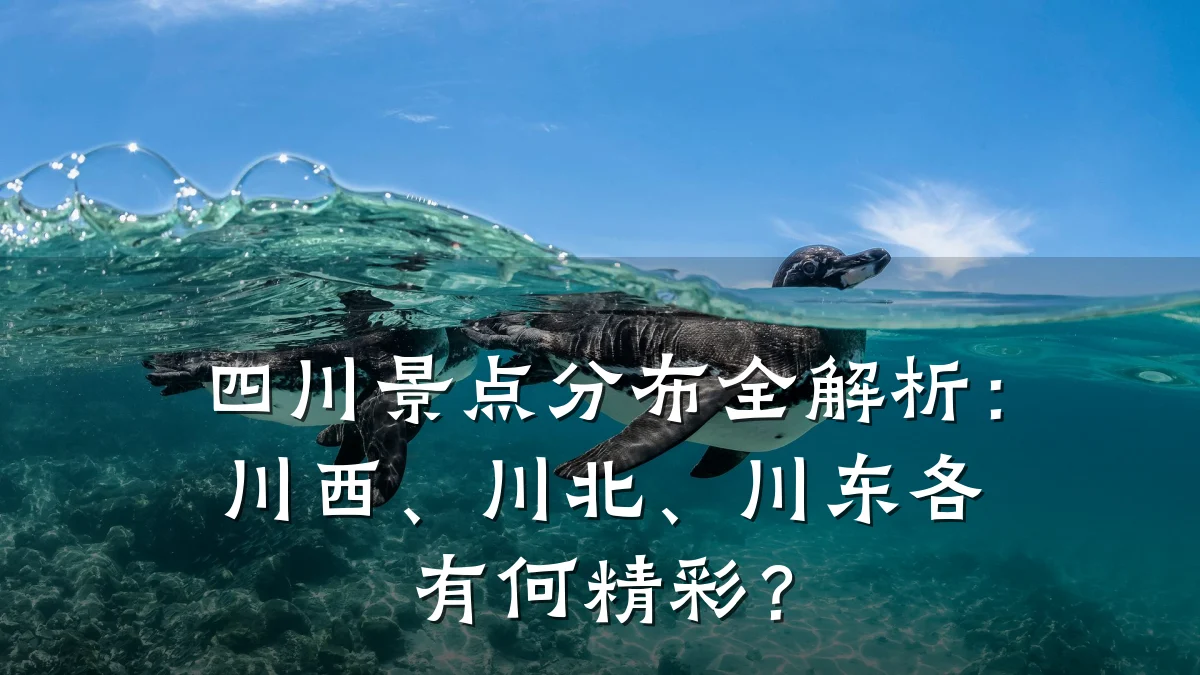 四川景点分布全解析:川西、川北、川东各有何精彩?