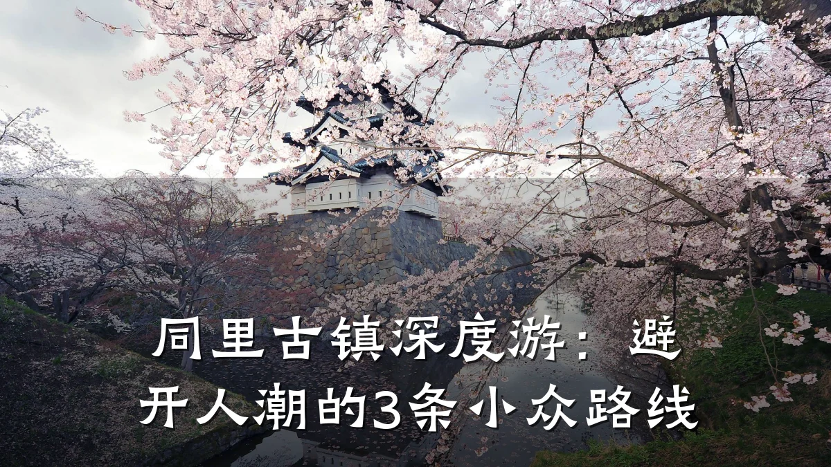 同里古镇深度游:避开人潮的3条小众路线