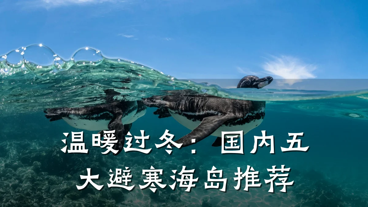 温暖过冬：国内五大避寒海岛推荐