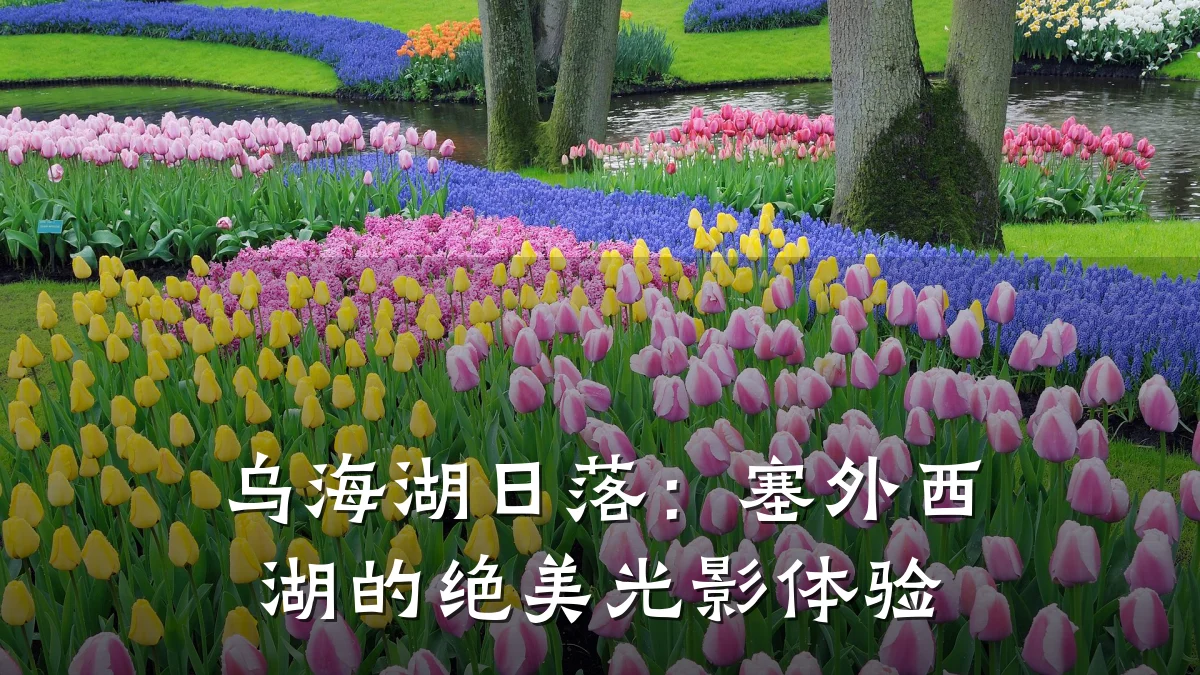 乌海湖日落:塞外西湖的绝美光影体验