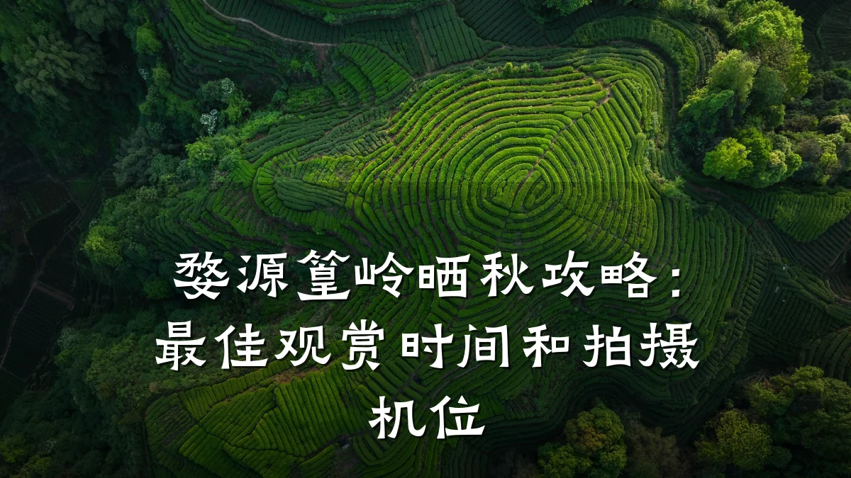婺源篁岭晒秋攻略:最佳观赏时间和拍摄机位