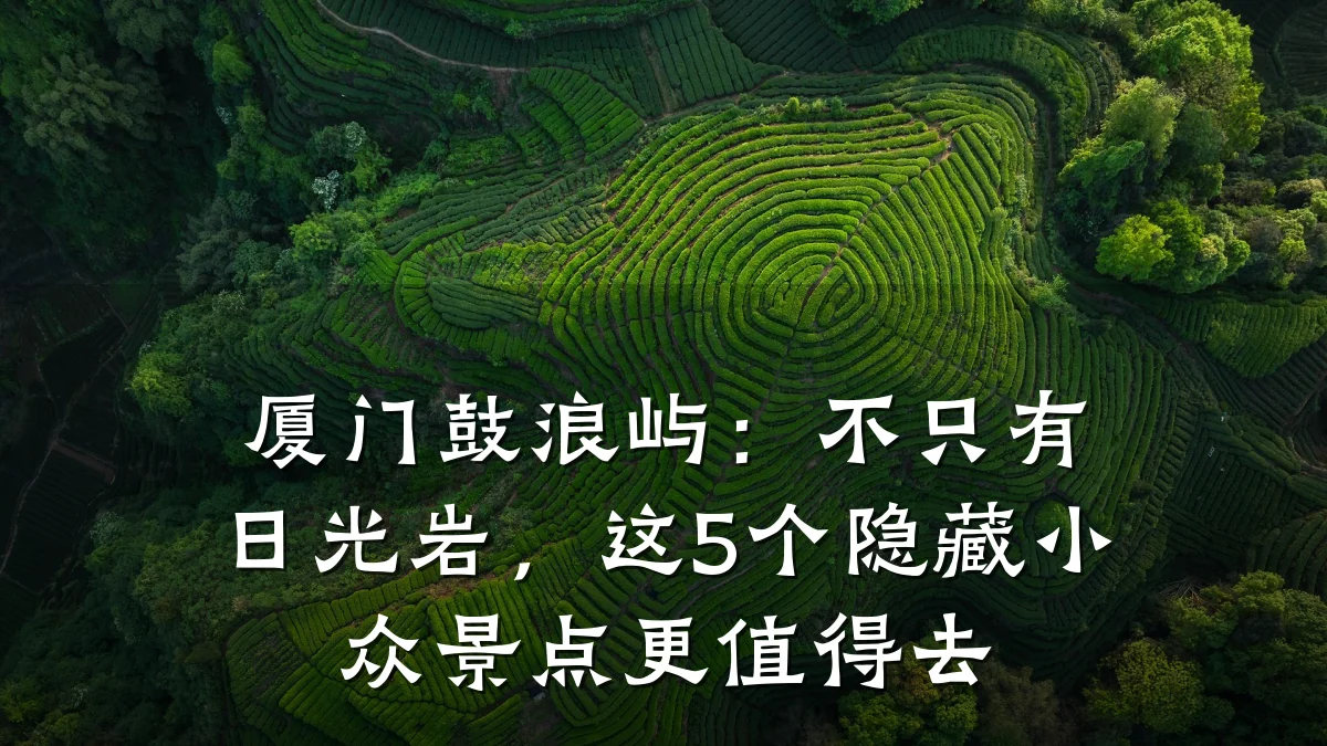 厦门鼓浪屿：不只有日光岩，这5个隐藏小众景点更值得去
