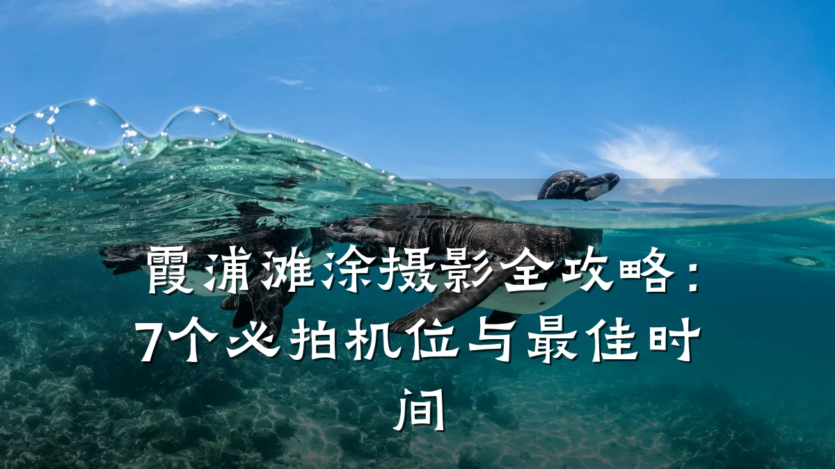 霞浦滩涂摄影全攻略:7个必拍机位与最佳时间