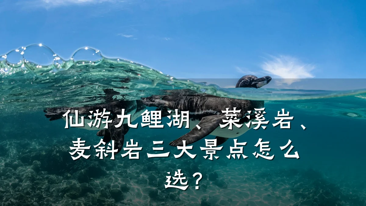 仙游九鲤湖、菜溪岩、麦斜岩三大景点怎么选?