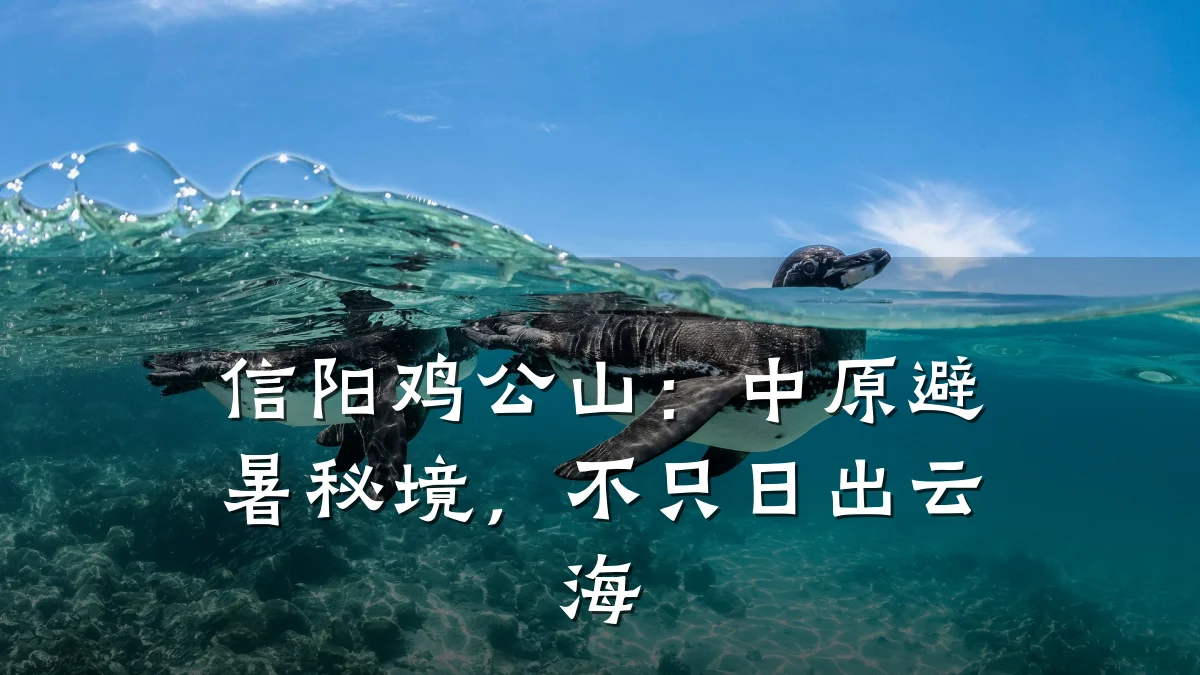 信阳鸡公山:中原避暑秘境,不只日出云海