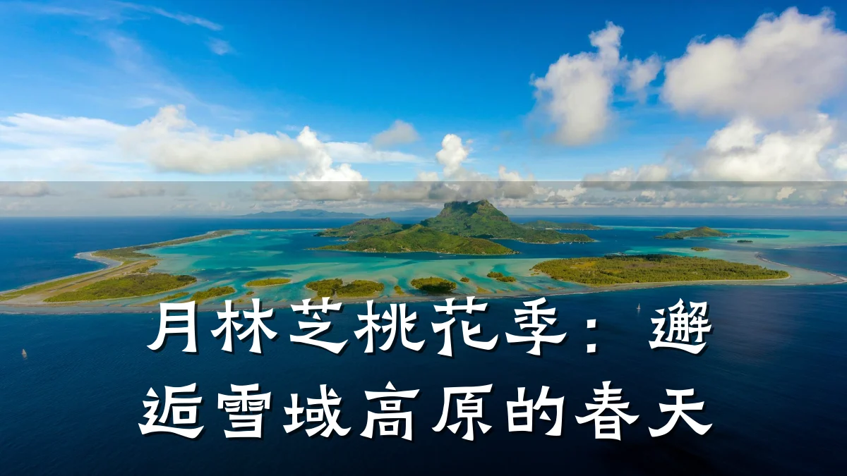 月林芝桃花季:邂逅雪域高原的春天