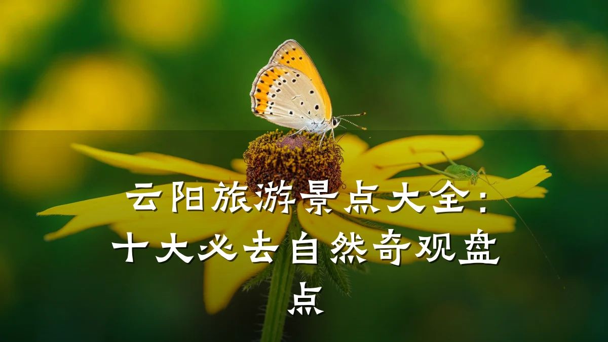 云阳旅游景点大全:十大必去自然奇观盘点