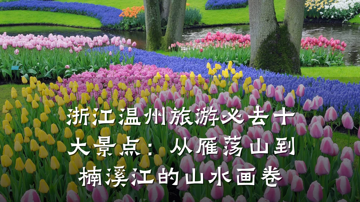 浙江温州旅游必去十大景点:从雁荡山到楠溪江的山水画卷