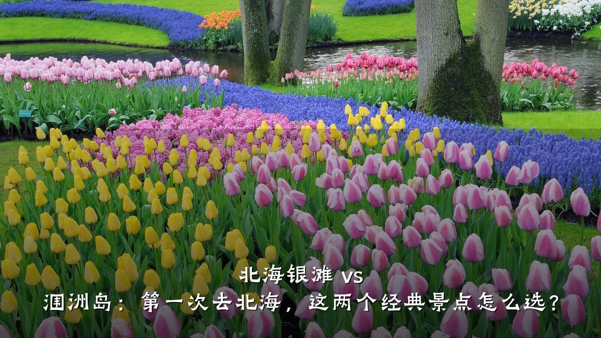 北海银滩 vs 涠洲岛:第一次去北海,这两个经典景点怎么选?