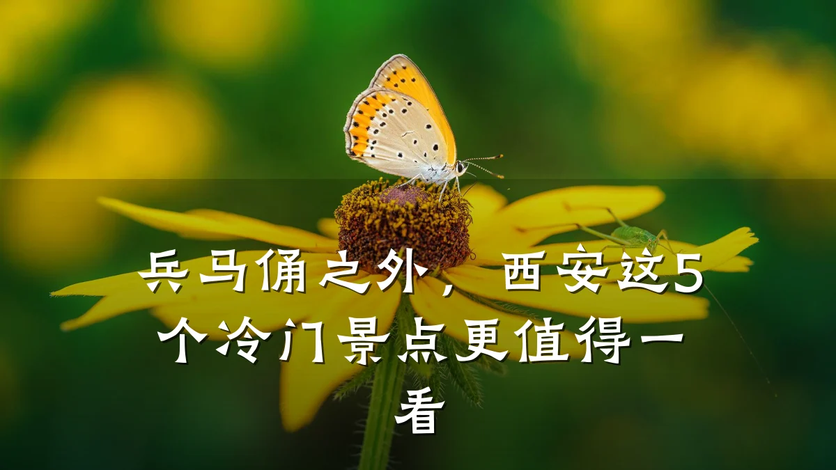 兵马俑之外,西安这5个冷门景点更值得一看