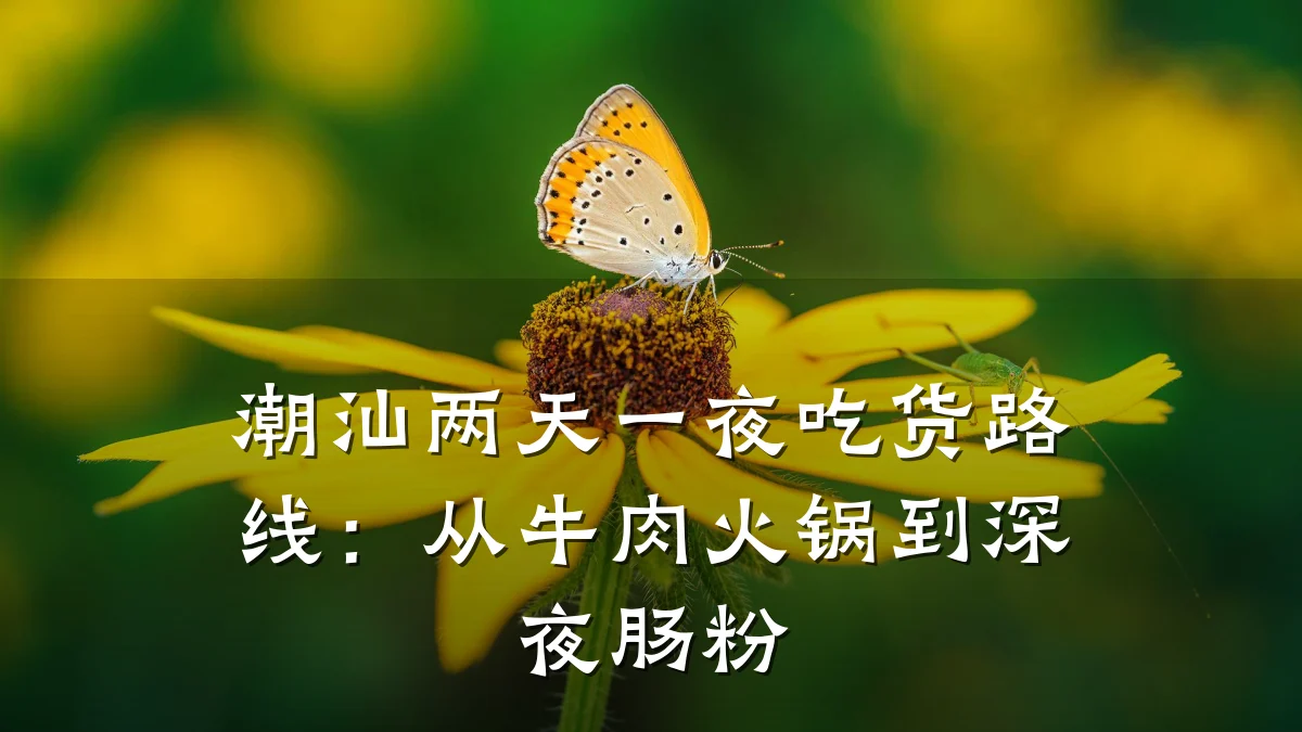 潮汕两天一夜吃货路线:从牛肉火锅到深夜肠粉