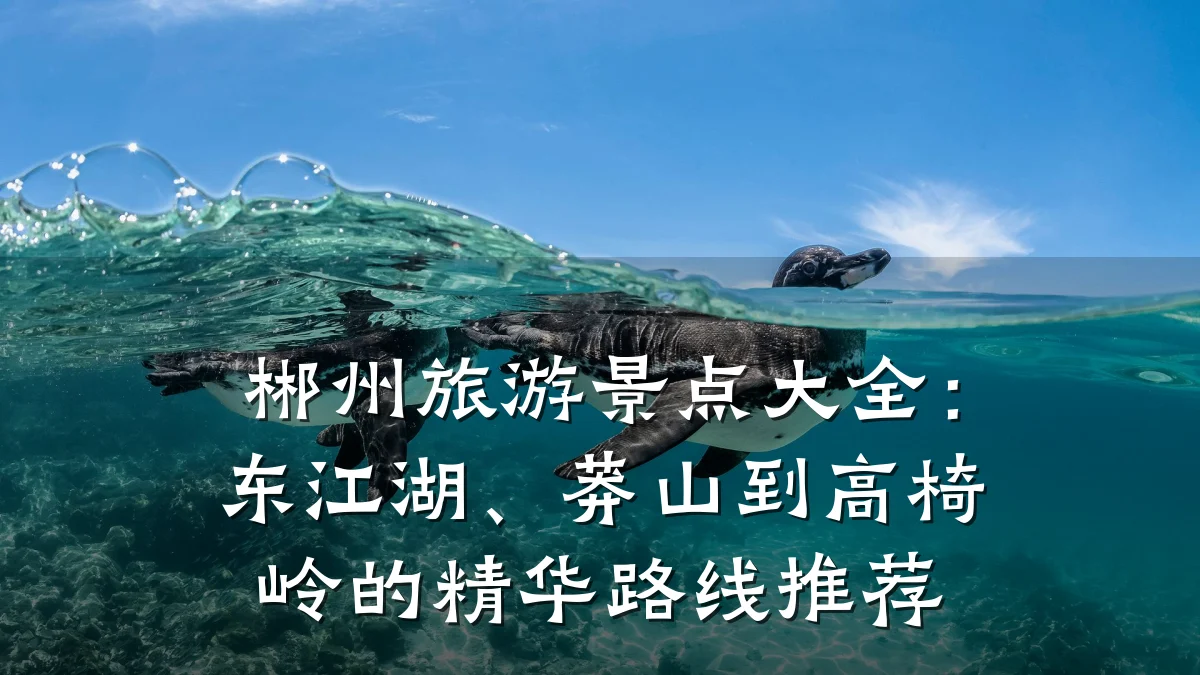 郴州旅游景点大全：东江湖、莽山到高椅岭的精华路线推荐