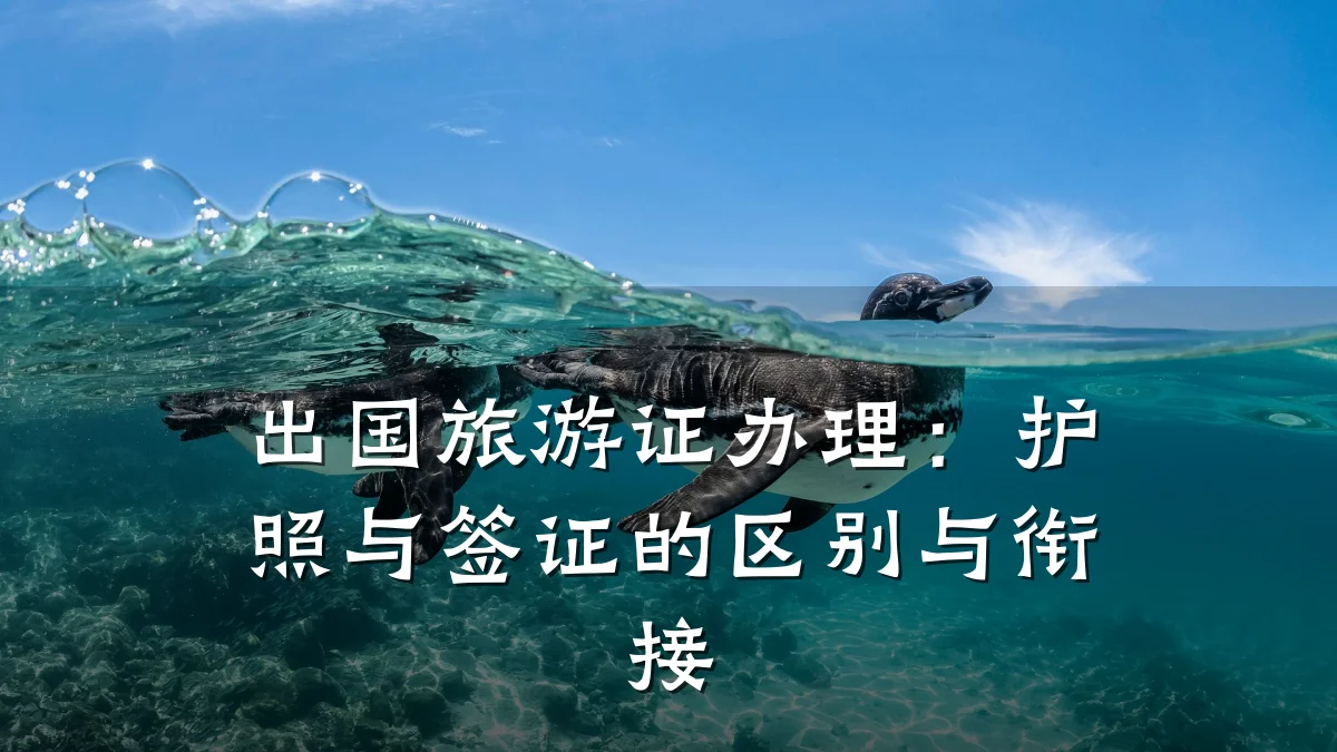 出国旅游证办理:护照与签证的区别与衔接