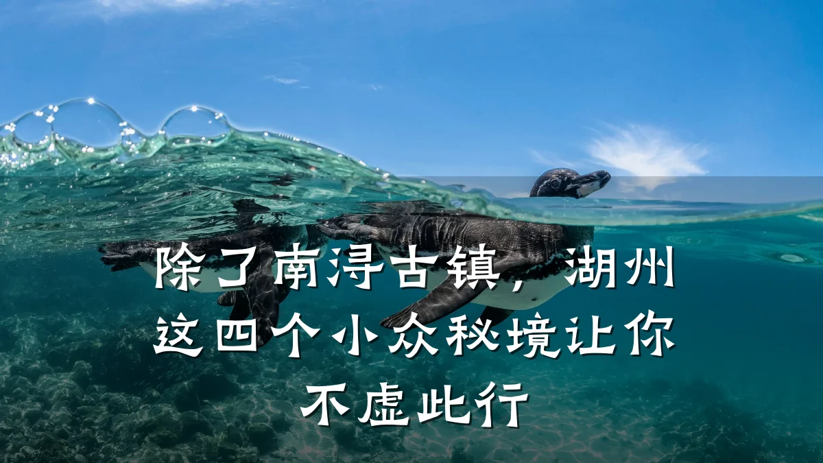 除了南浔古镇，湖州这四个小众秘境让你不虚此行