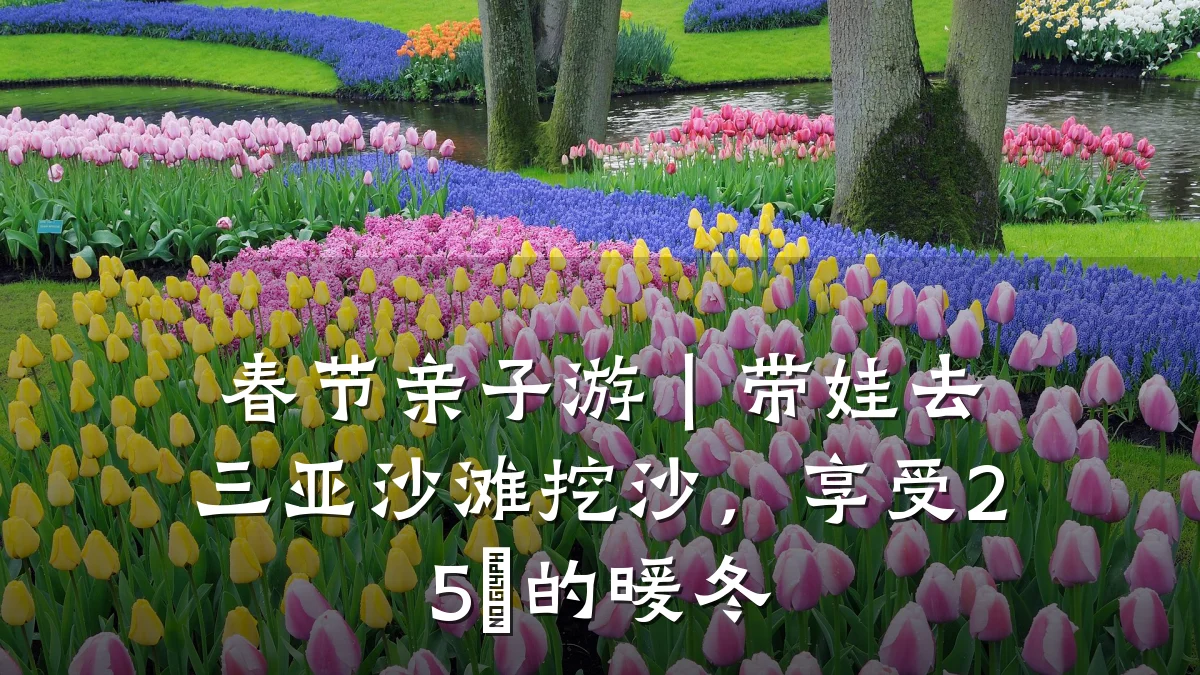 春节亲子游|带娃去三亚沙滩挖沙,享受25℃的暖冬